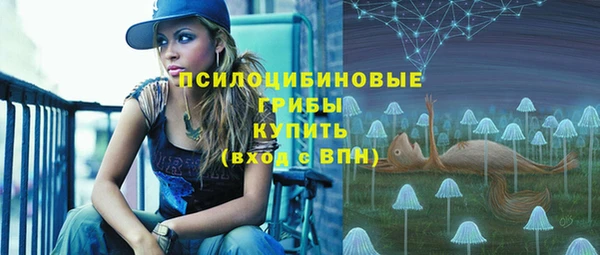 амф Балахна