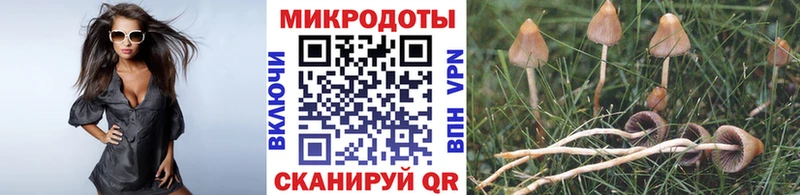 omg маркетплейс  Моздок  Галлюциногенные грибы MAGIC MUSHROOMS  купить закладку 