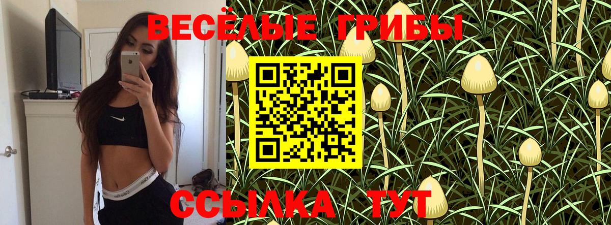Псилоцибиновые грибы мухоморы  Вход с VPN  Моздок 