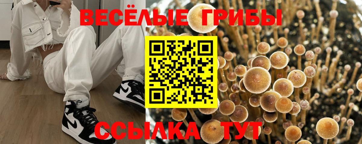 Псилоцибиновые грибы ЛСД Моздок